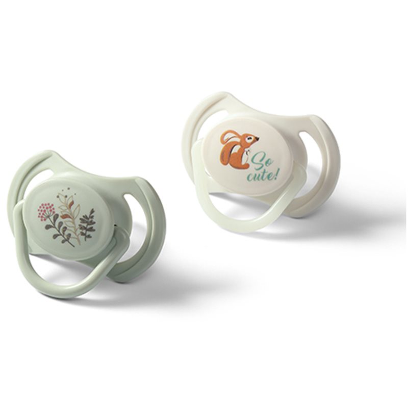 BabyOno Take Care Symmetrical Silicone Soothers suzetă Day & Night 6-18m+ 2 buc