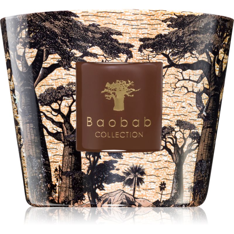 Baobab Collection Sacred Trees Mankono lumânare parfumată 500 g