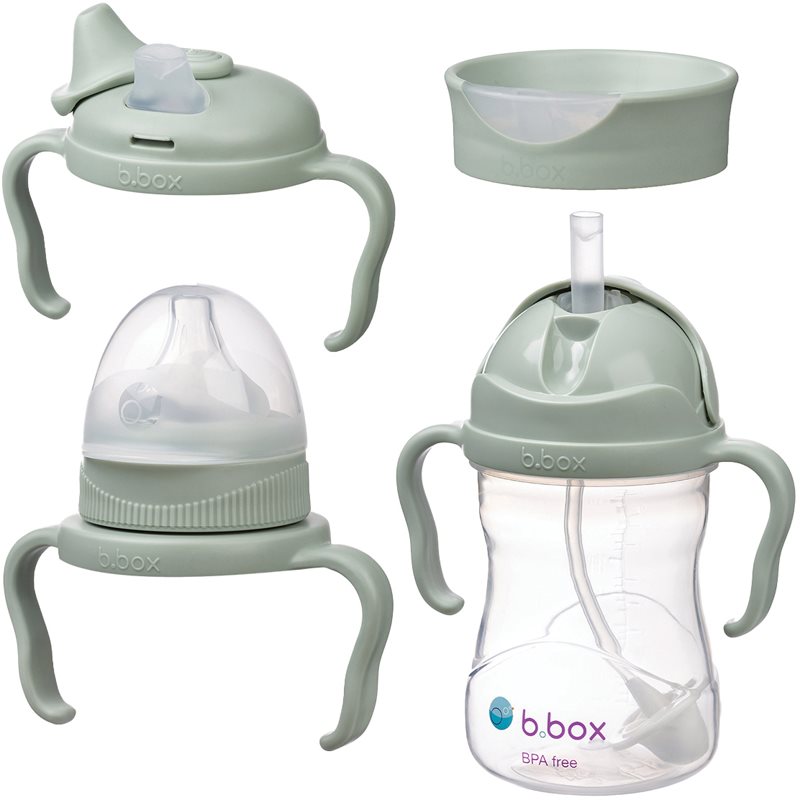 B.Box Baby Bottle 4 in 1 biberon pentru copii 4 in 1 Sage 240 ml