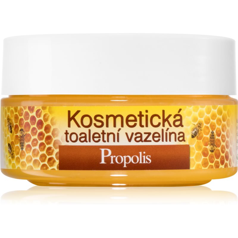 Bione Cosmetics Honey + Q10 vaselina cosmetica 155 ml