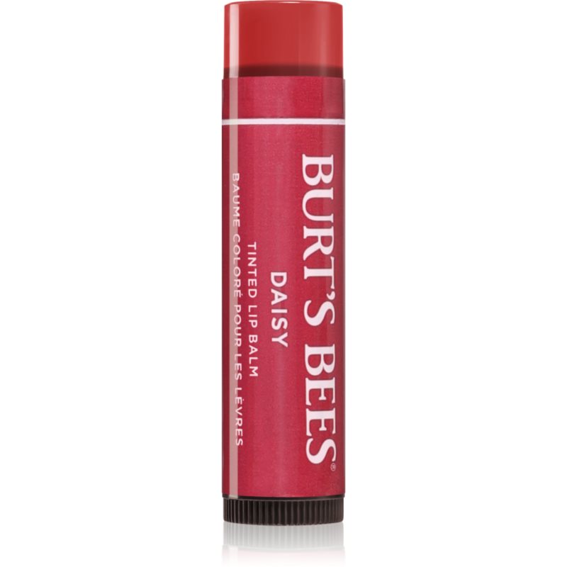 Burt’s Bees Tinted Lip Balm balsam de buze culoare Daisy 4.25 g