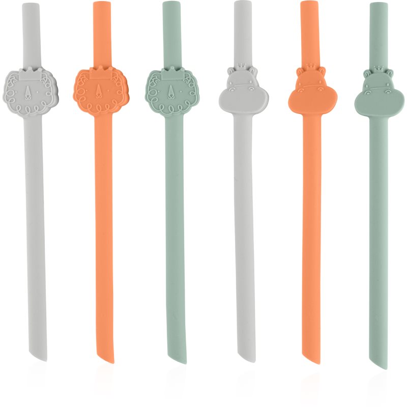 Chicco Straws Cannucce pai din silicon 12m+ 6 buc Chicco Straws Cannucce pai din silicon 12m+ 6 buc