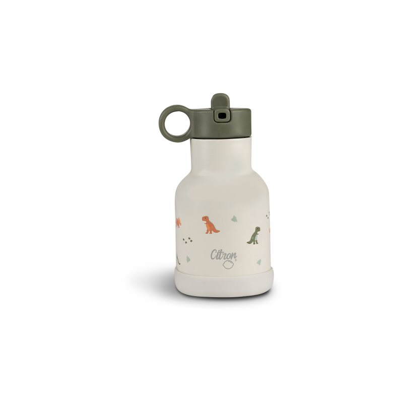 Citron Water Bottle 250 ml (Stainless Steel) sticlă inoxidabilă pentru apă