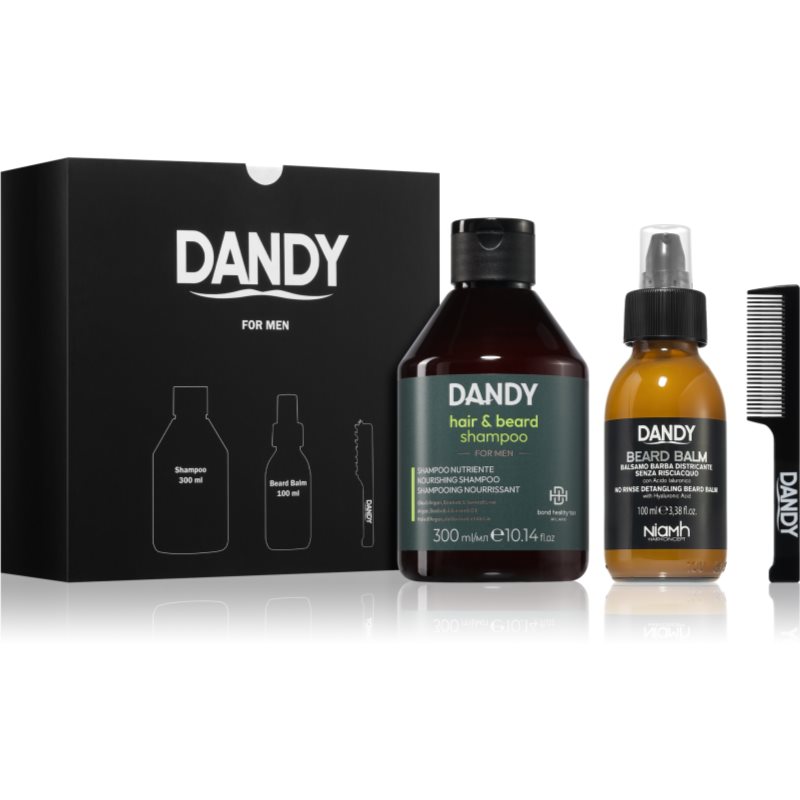 DANDY Beard gift box set cadou (pentru barbă)