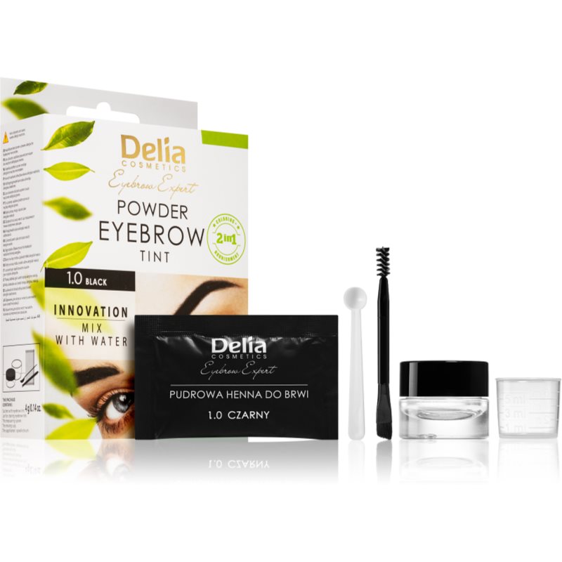 Delia Cosmetics Eyebrow Expert vopsea de sprancene culoare 1.0 Black 4 g