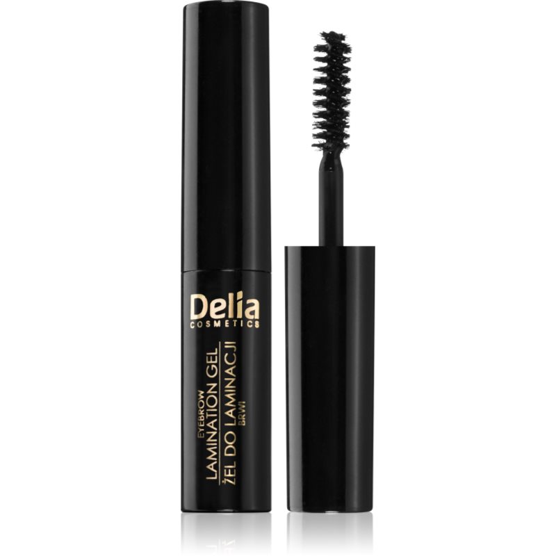 Delia Cosmetics Eyebrow Expert gel pentru sprancene culoare 1.0 Black 4 ml