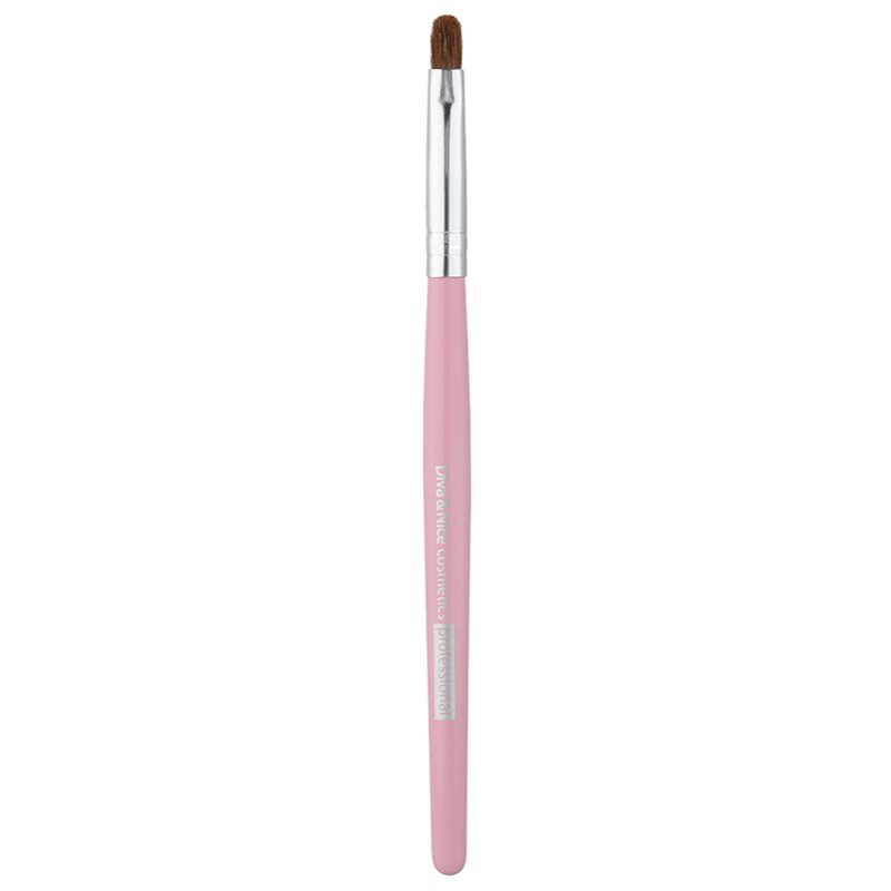 Diva & Nice Cosmetics Accessories Brush pensula pentru buze MAX 491/5 1 buc