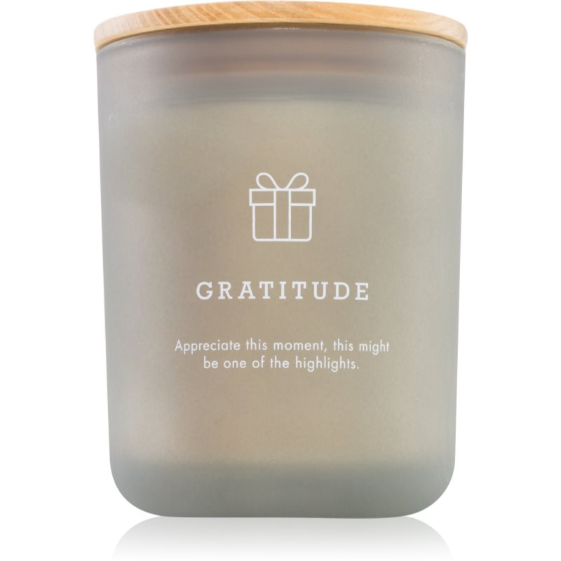 DW Home Hygge Gratitude lumânare parfumată 425 g
