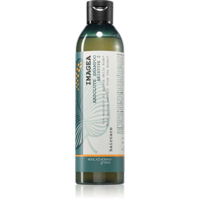 Elgon Green Imagea Absolute Shampoo sampon pentru stralucirea si tonifierea parului vopsit 250 ml