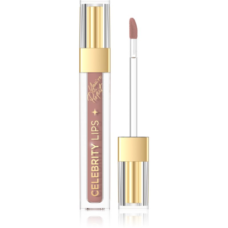 Eveline Cosmetics Celebrity Lips ruj de buze lichid, mat și de lungă durată culoare 02NW 4 ml