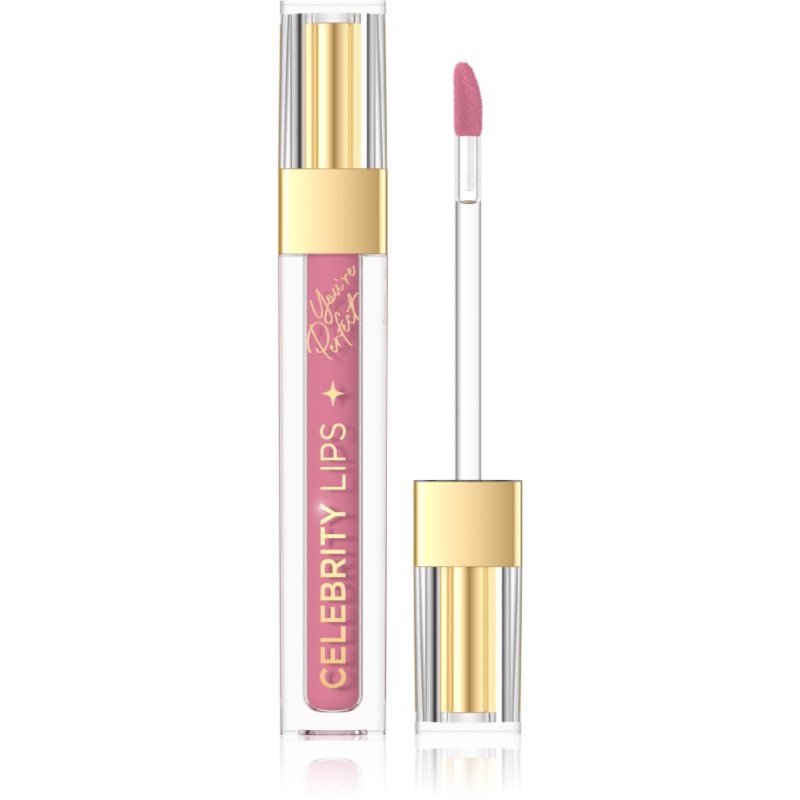 Eveline Cosmetics Celebrity Lips ruj de buze lichid, mat și de lungă durată culoare 05C 4 ml