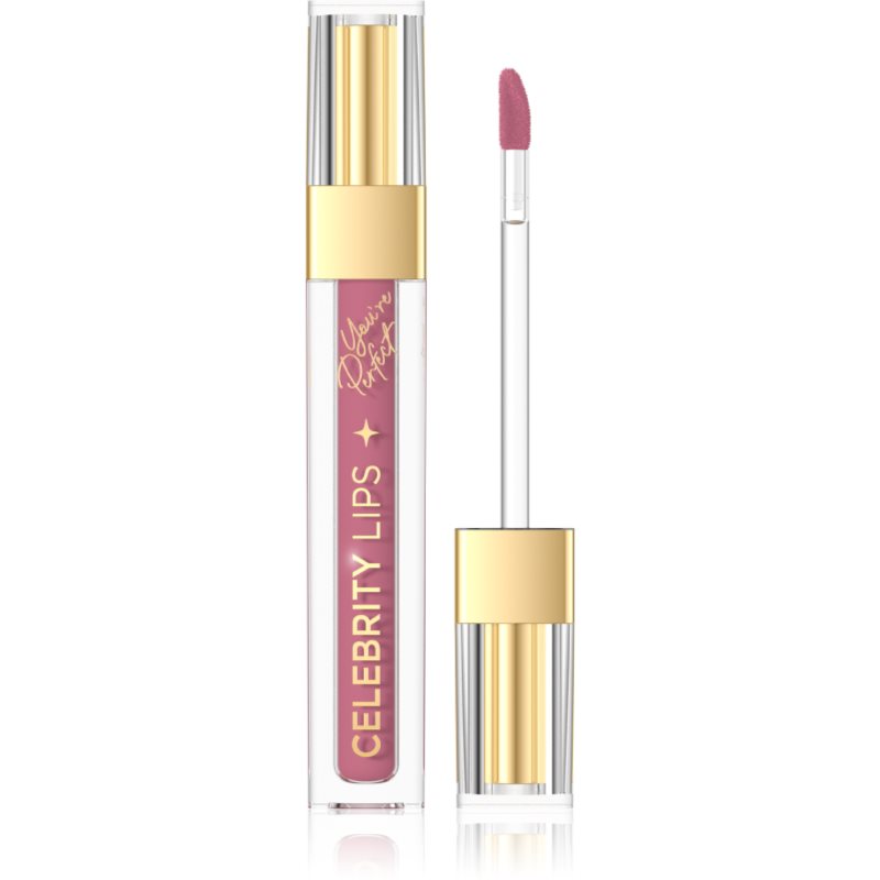 Eveline Cosmetics Celebrity Lips ruj de buze lichid, mat și de lungă durată culoare 06C 4 ml