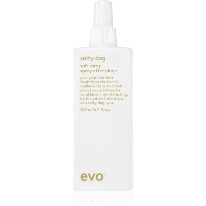 EVO Style Salty Dog spray cu sare pentru păr 200 ml