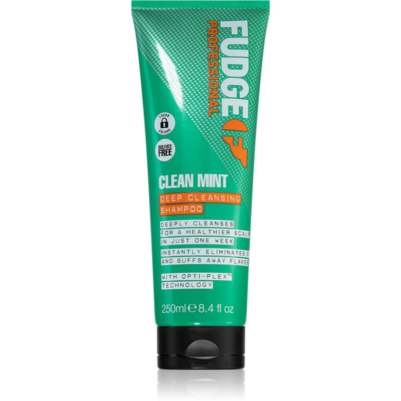 Fudge Clean Mint Shampoo șampon pentru păr gras 250 ml