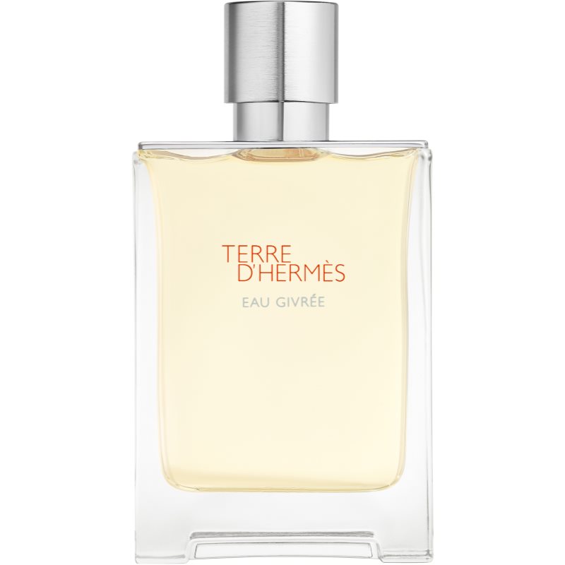 HERMÈS Terre d’Hermès Eau Givrée parfémovaná voda pro muže 100 ml