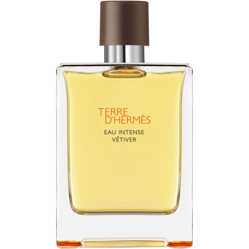 HERMÈS Terre d’Hermès Eau Intense Vétiver Eau de Parfum pentru bărbați 200 ml