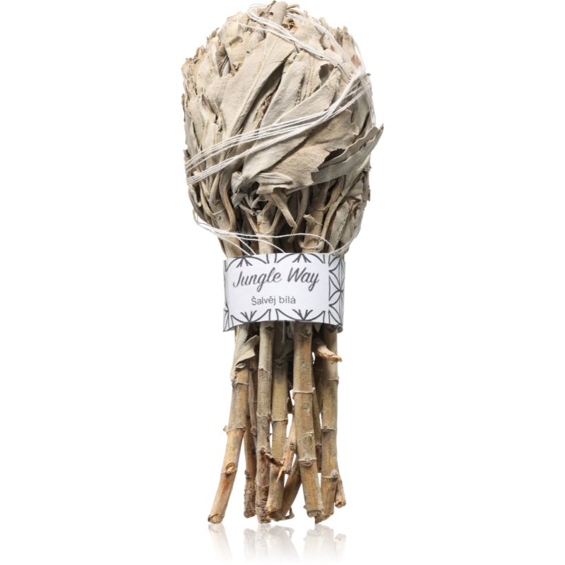 Jungle Way White Sage suporturi pentru ars tămâie 15 cm Jungle Way White Sage suporturi pentru ars tămâie 15 cm