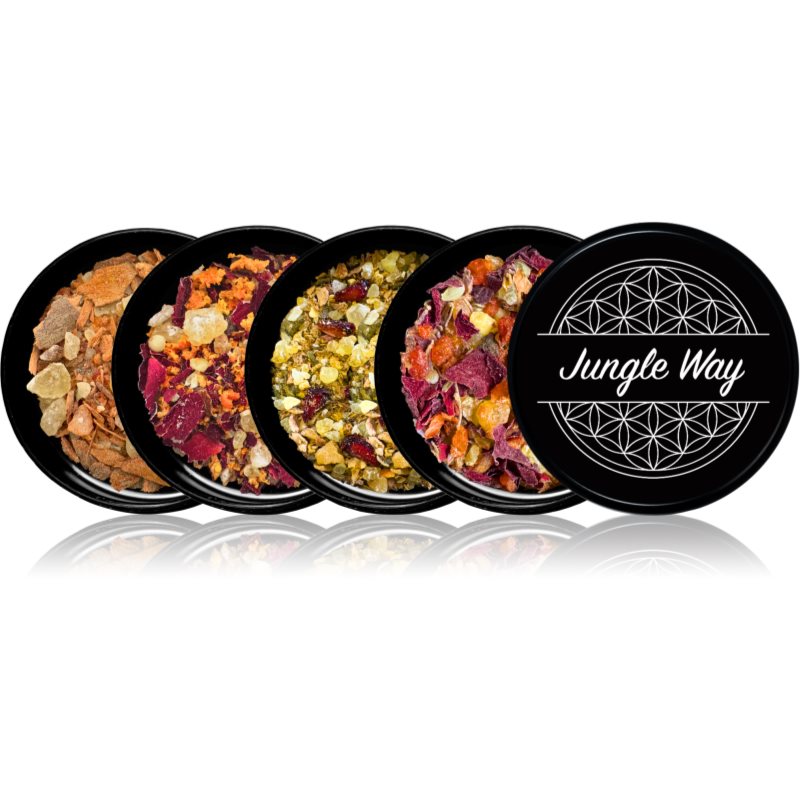 Jungle Way Discovery set Boost Your Life suporturi pentru ars tămâie