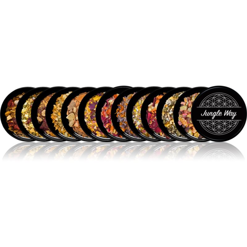 Jungle Way Discovery set Master Your Life suporturi pentru ars tămâie