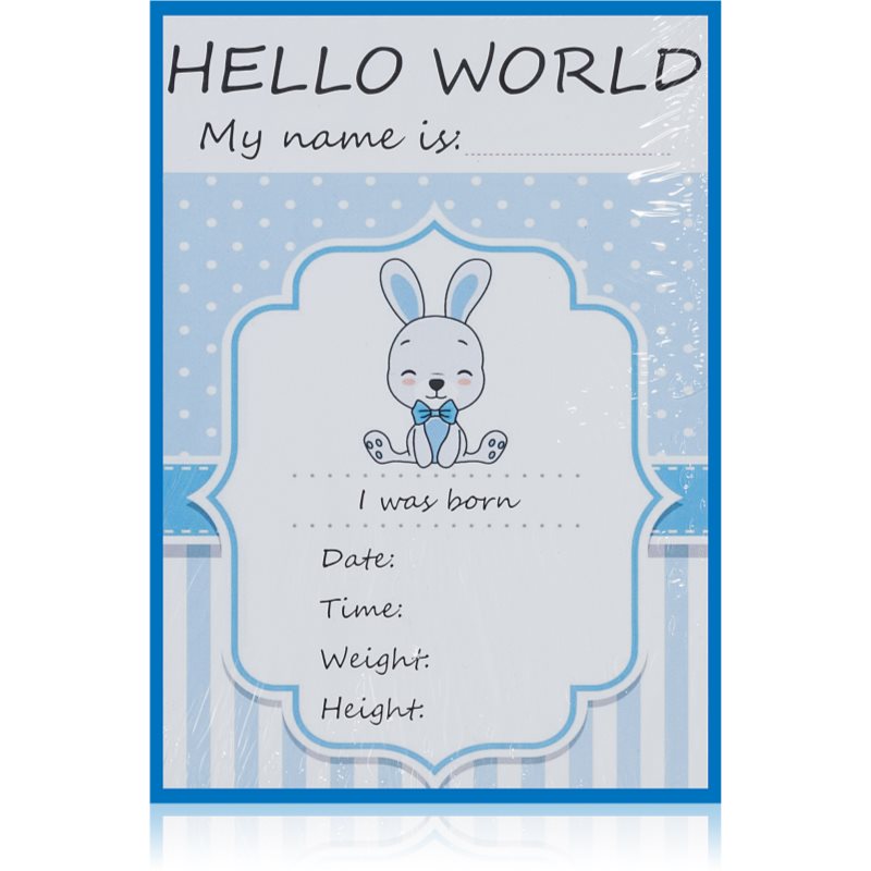 KidPro Milestone Cards Bunny For a Boy carduri de referință 1 buc