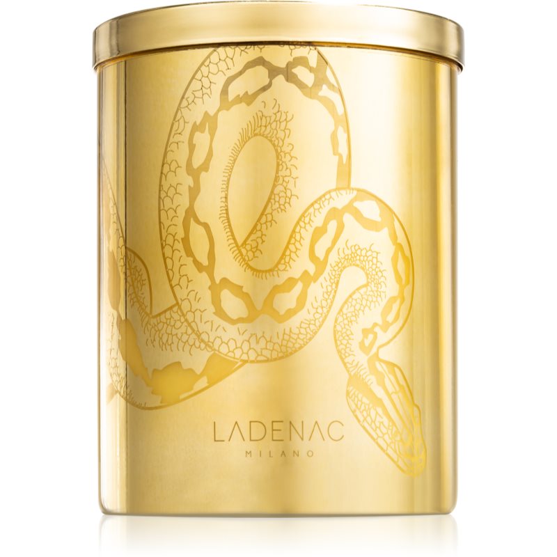 Ladenac Africa Serpiente Temptation lumânare parfumată 350 g