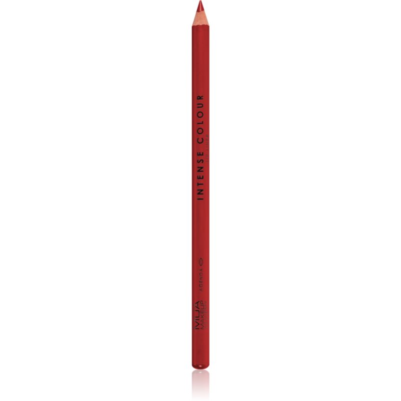 MUA Makeup Academy Intense Colour creion de buze cu trasare precisă culoare Agenda 1,5 g