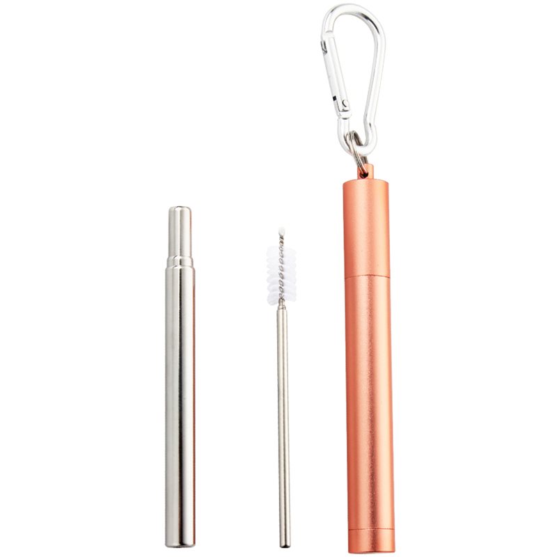 Naturalis Stainless Steel Straw Telescopic set pentru utilizarea de zi cu zi