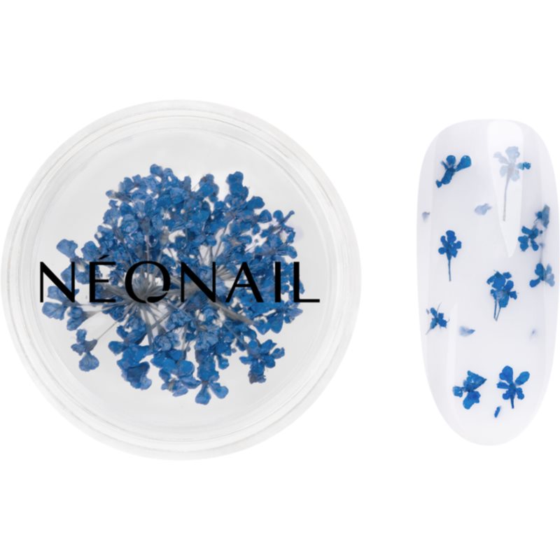 NEONAIL Dried Flowers flori uscate pentru unghii culoare 04 Navy 1 buc