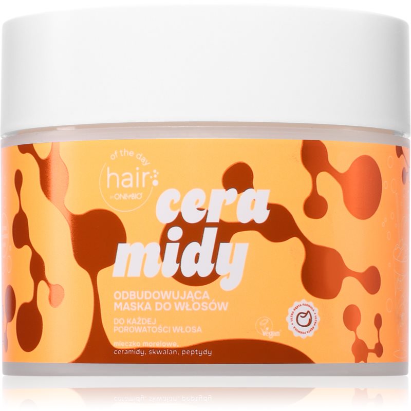 OnlyBio Hair Of The Day Ceramides Regenerating Hair Mask masca regeneratoare s ceramidy a peptidy 280 ml