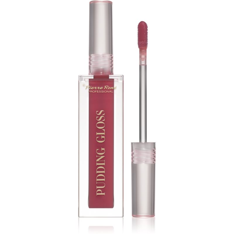 Pierre René Professional Pudding Lip Gloss lip gloss hidratant culoare 04 Gloss Up Girl 5 ml