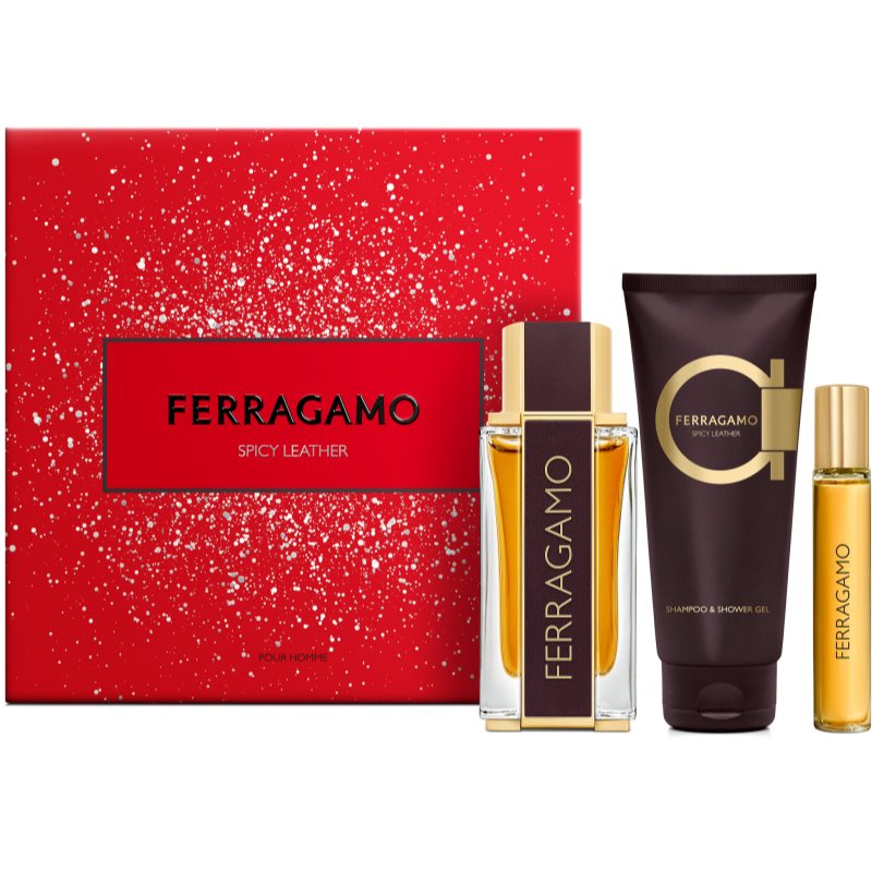 Ferragamo Spicy Leather set cadou pentru bărbați