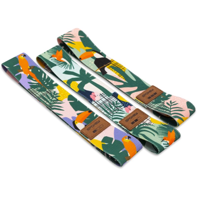 Spokey Home Jungle set de elastice de fitness (+ husă)