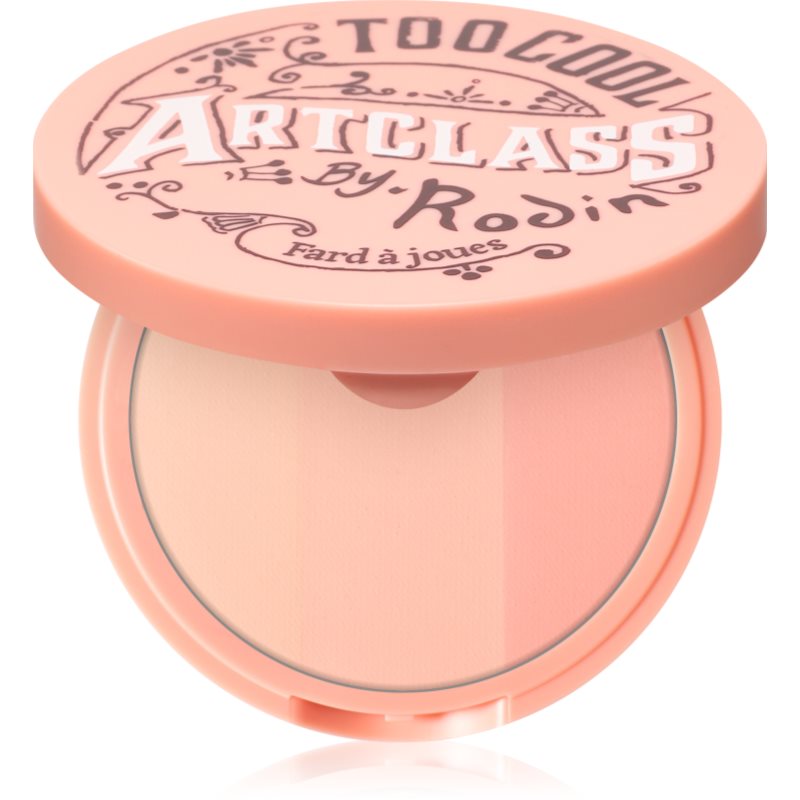 Too Cool For School Artclass By Rodin Blusher fard de obraz sub forma de pudra culoare De Peche 9 g