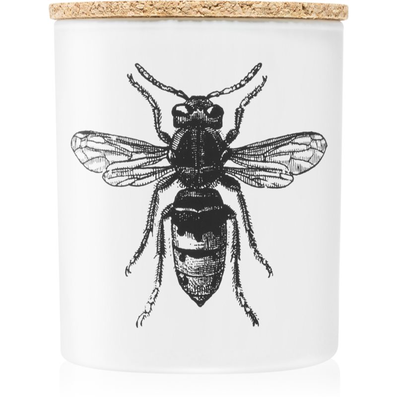 Vila Hermanos Insect Calabrone lumânare parfumată 190 g