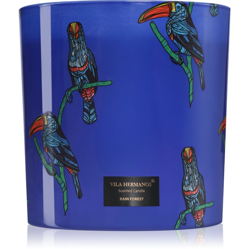Vila Hermanos Jungletopia Rain Forest lumânare parfumată 1450 g