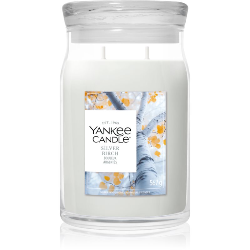 Yankee Candle Silver Birch lumânare parfumată 567 g