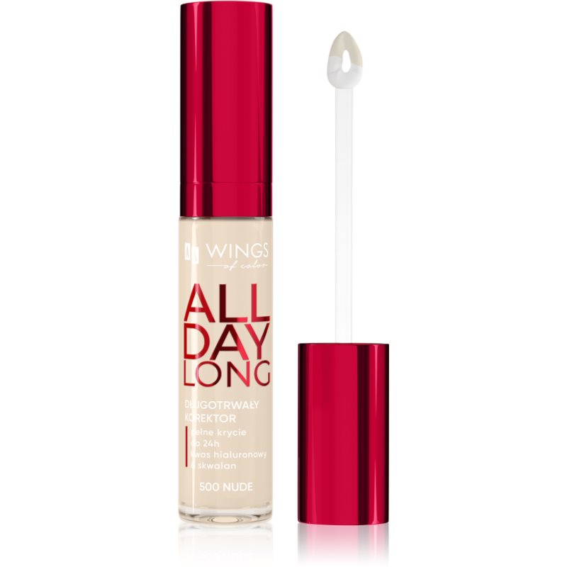 AA Wings of Color All Day Long Long Lasting Concealer Vloeibare Concealer Tint 500 Ivory 6.2 g