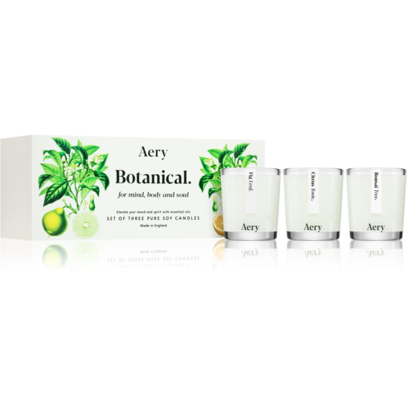 Aery Botanical Gift Set