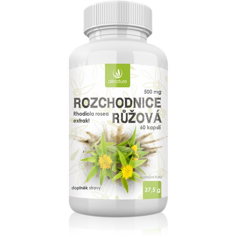 Allnature Rozchodnice Rhodiola Rosea 500mg cps.60 koupíte na Notino.cz