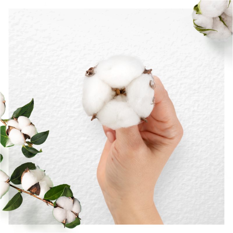 Always Cotton Protection Normal Serviettes Hygiéniques Sans Parfum 11 Pcs