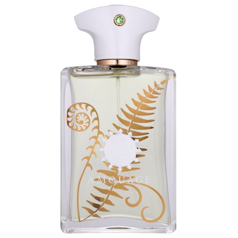 Amouage Bracken parfumska voda za moške 100 ml