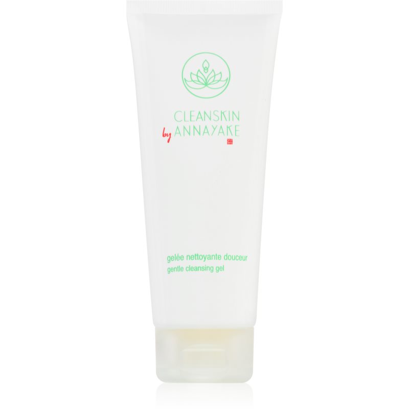 Annayake CleanSkin Gentle Cleansing Gel Facial Cleansing Gel For Perfect Skin Cleansing 100 Ml