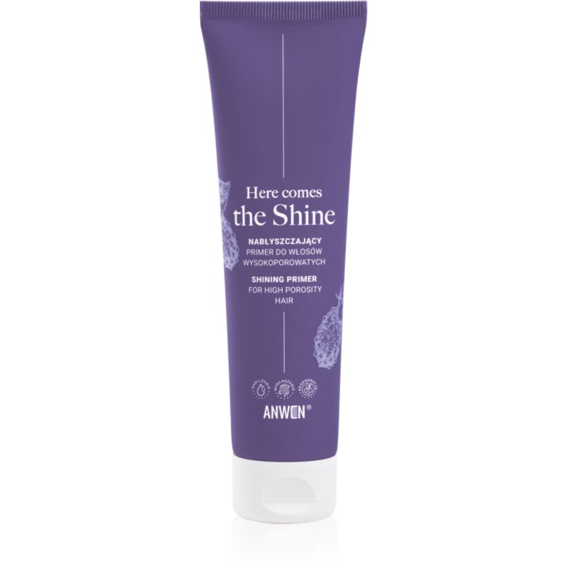 Anwen Here Comes The Shine Shining Primer For High Porosity Hair podkladová báze na vlasy 100 ml
