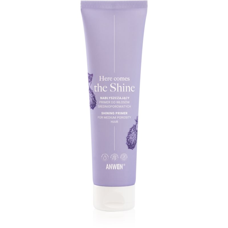 Anwen Here Comes The Shine Shining Primer For Medium Porosity Hair podkladová báze na vlasy 100 ml