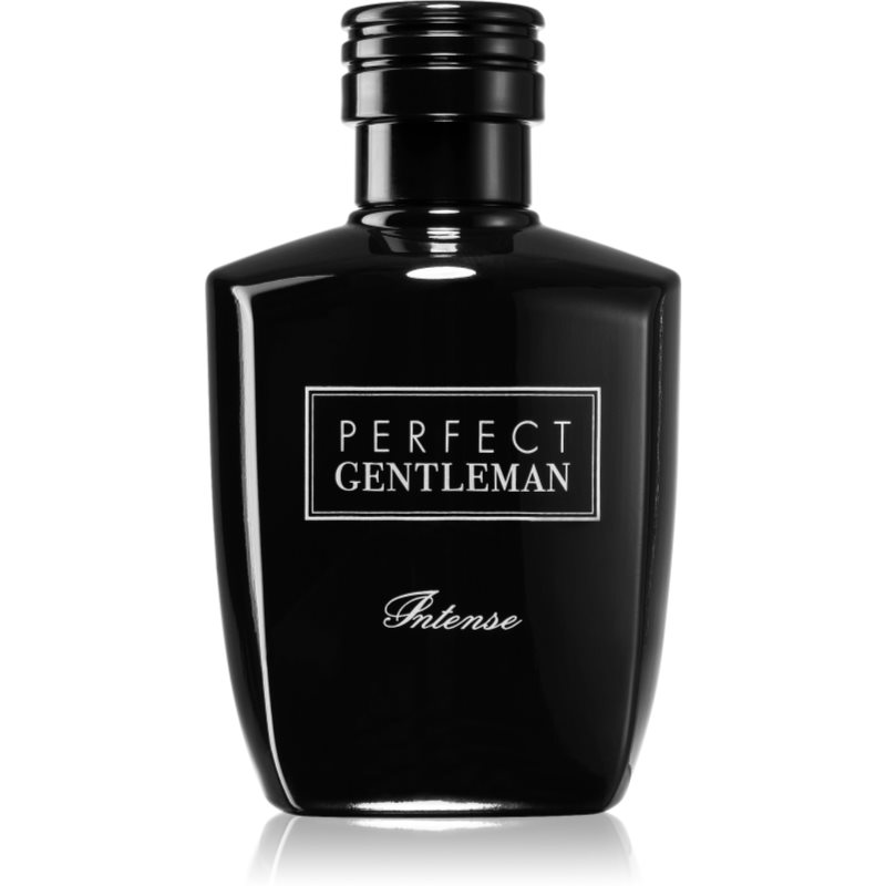 Art & Parfum Perfect Gentleman Intense Parfumuotas vanduo vyrams 100 ml