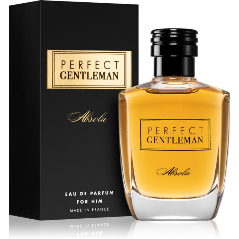Art & Parfum Perfect Gentleman  Absolu парфумована вода для чоловіків 100 мл