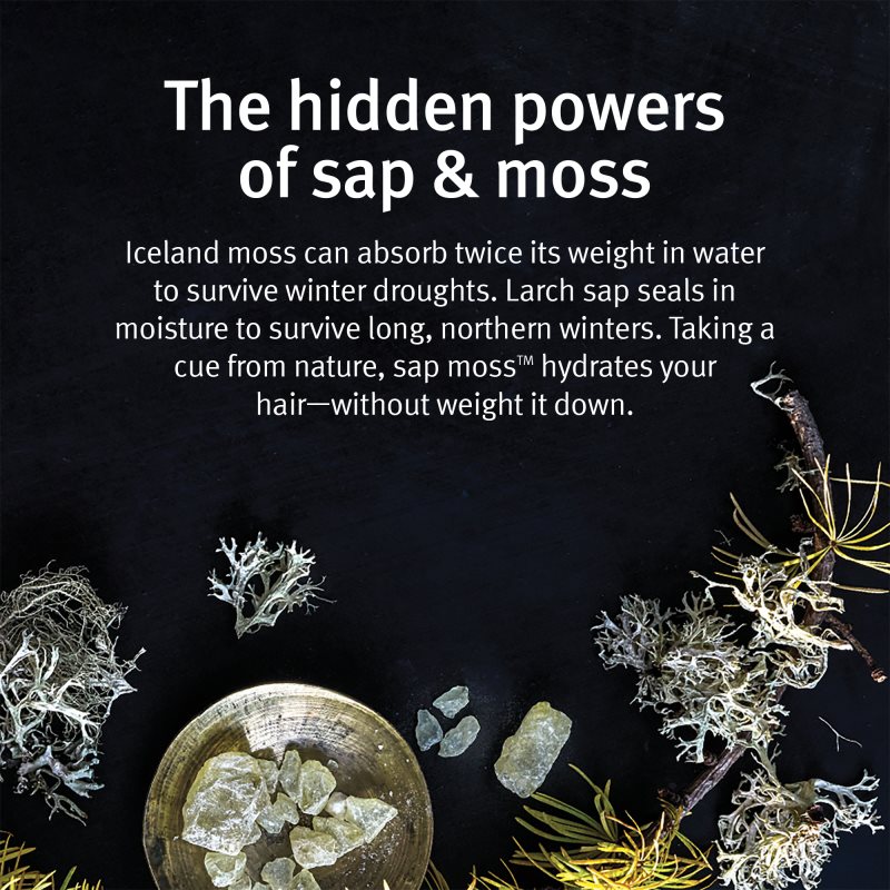 Aveda Sap Moss™ Weightless Hydrating Conditioner Moisturising Conditioner To Treat Frizz 200 Ml