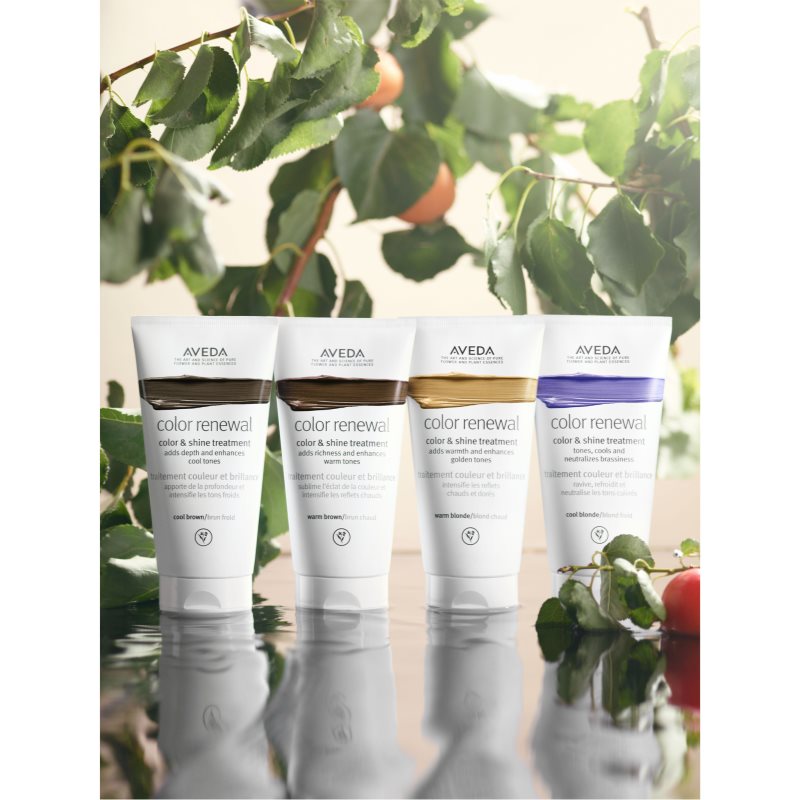 Aveda Color Renewal Color & Shine Treatment Bonding Colour Mask For Hair Shade Warm Blonde 150 Ml