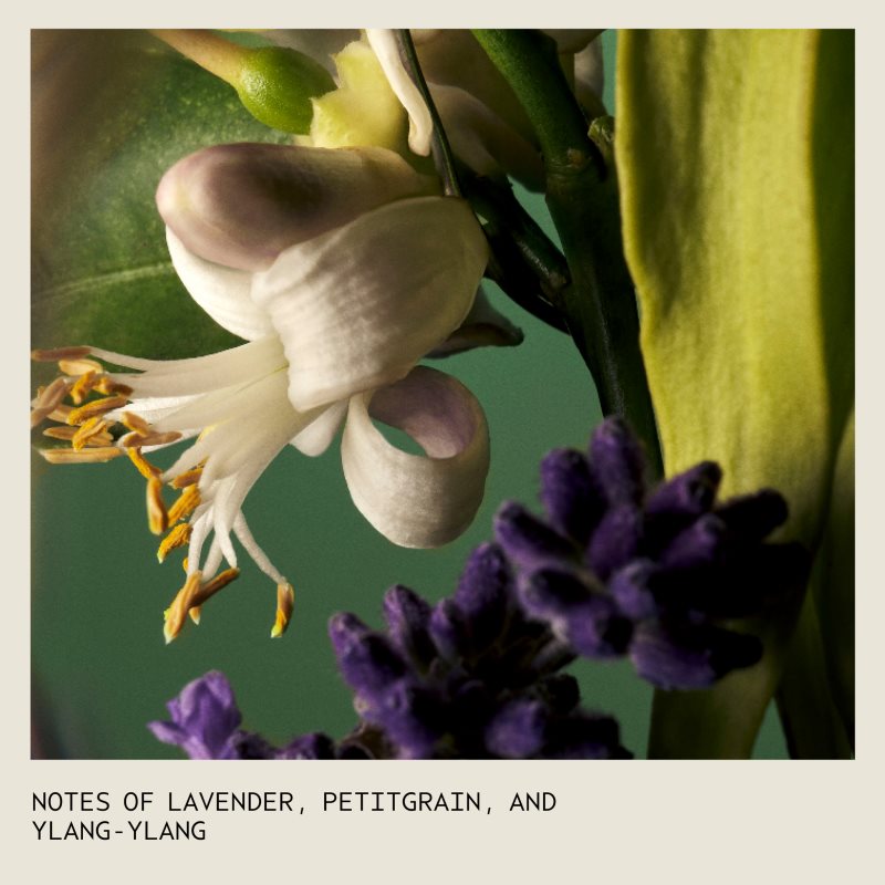 Aveda Abundant Blowout All-Over Volumizing Spray Volumenspray zum Föhnen und für das abschließende Styling 150 ml (Bild 6)