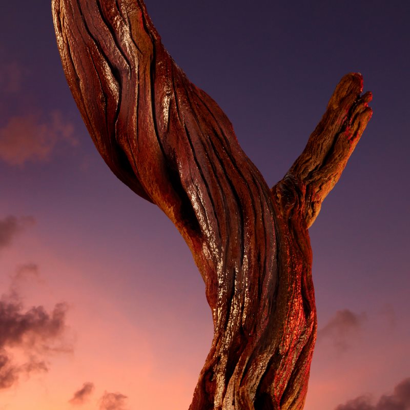 Azzaro The Most Wanted Parfum parfém pro muže (obrázek 4)